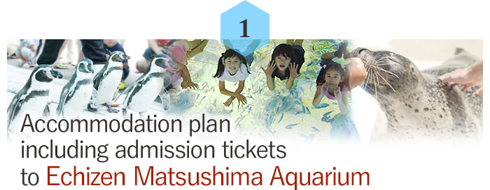 Accommodation plan including admission tickets to Echizen Matsushima Aquarium